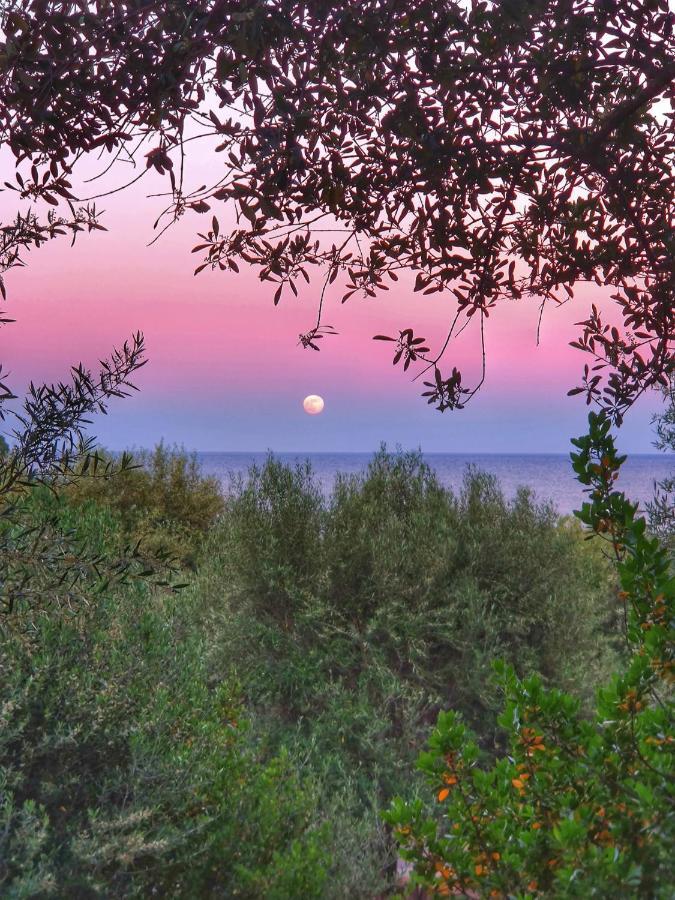 Porto Frailis Arbatax Casa Vista Mareヴィラ エクステリア 写真